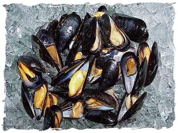 Frozen Whole Shell Mussels