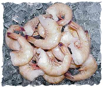 Jumbo Shrimp (U-15)