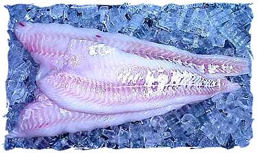 Fresh Codfish Fillet